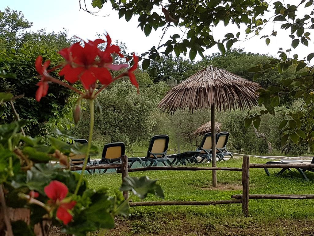 Tenuta Col Di Sasso 斯卡尔利诺 外观 照片
