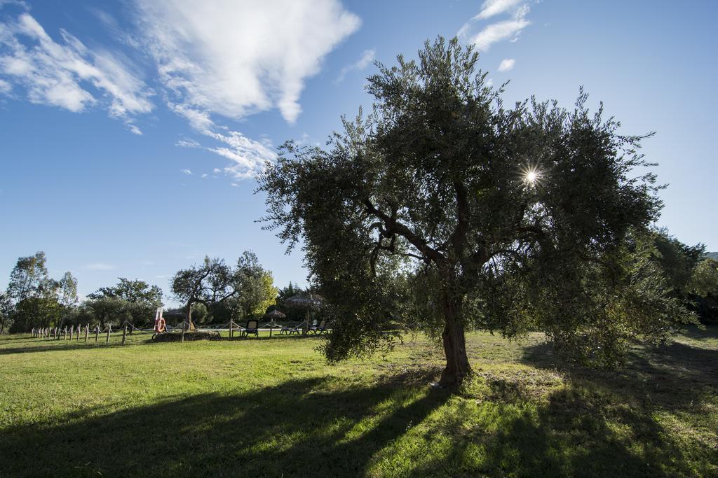 Tenuta Col Di Sasso 斯卡尔利诺 外观 照片