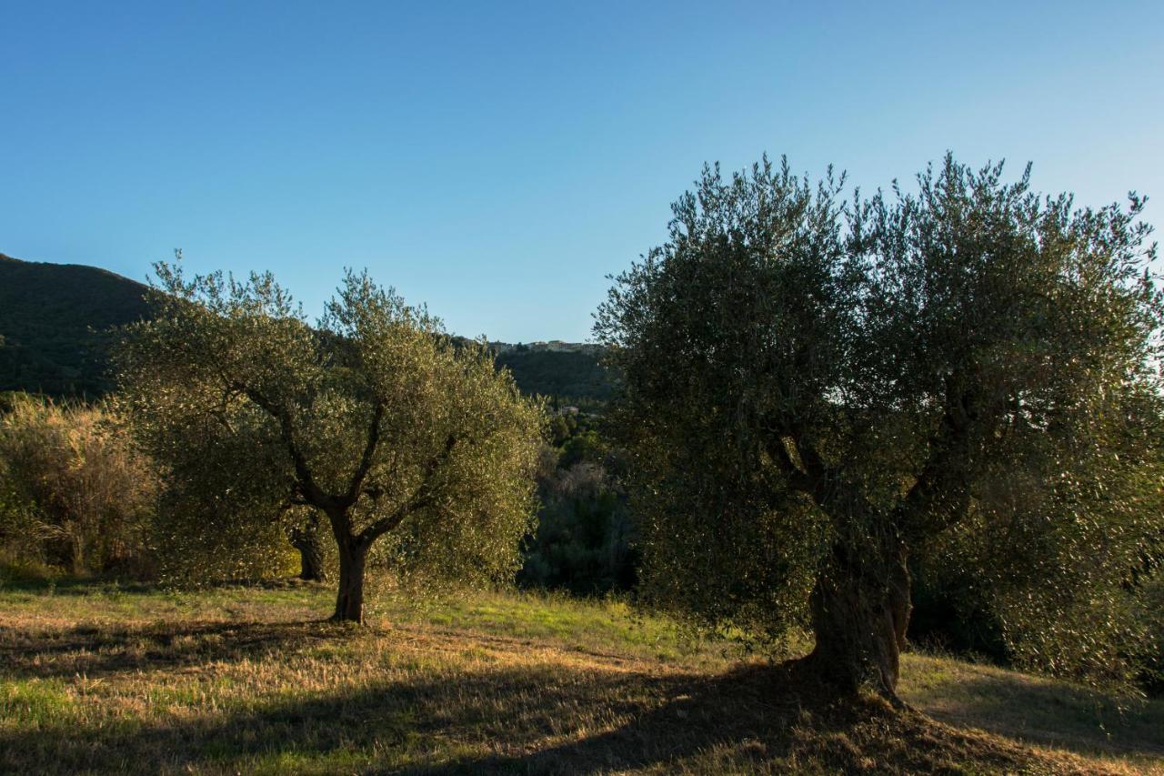 Tenuta Col Di Sasso 斯卡尔利诺 外观 照片