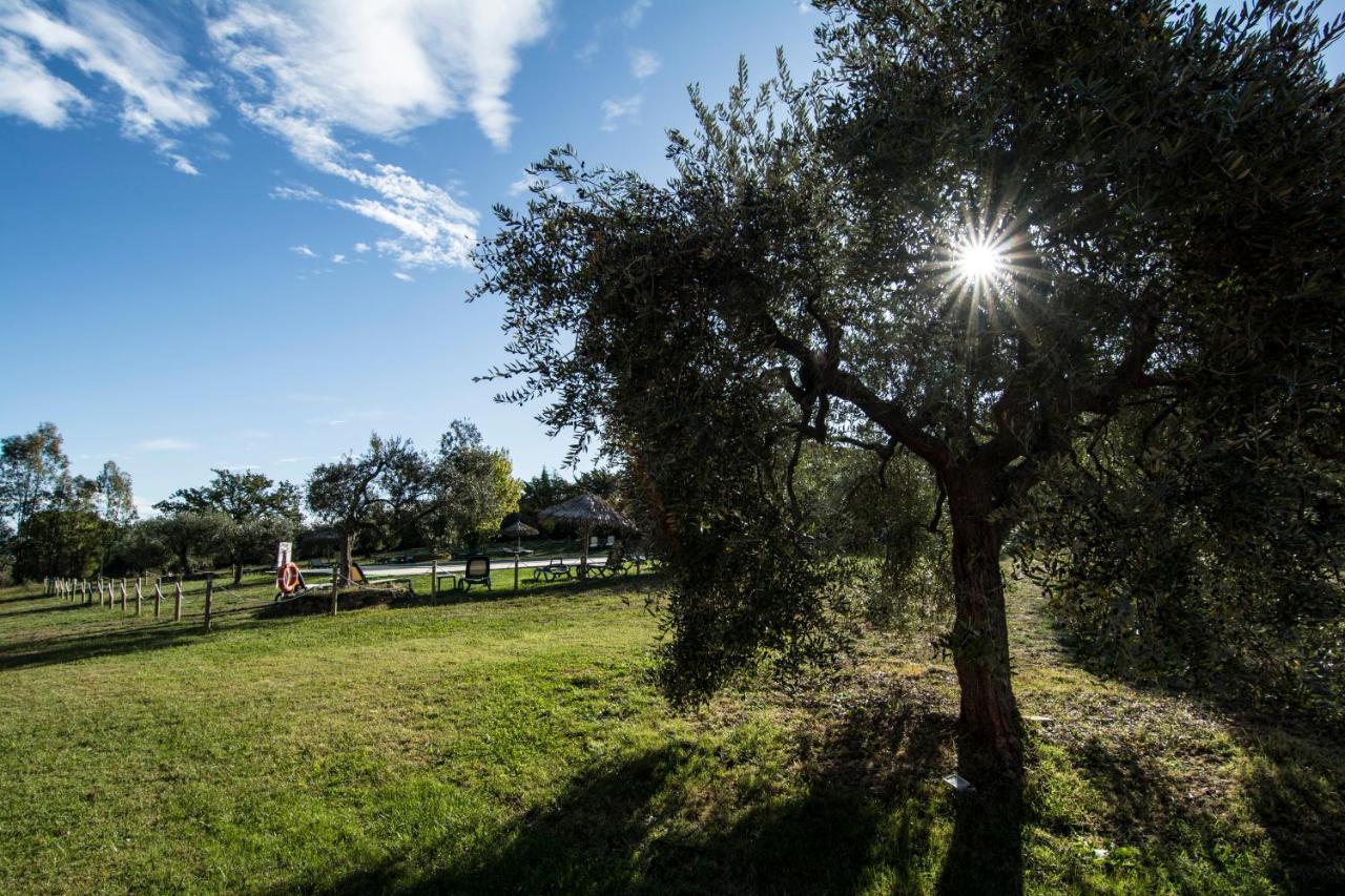 Tenuta Col Di Sasso 斯卡尔利诺 外观 照片