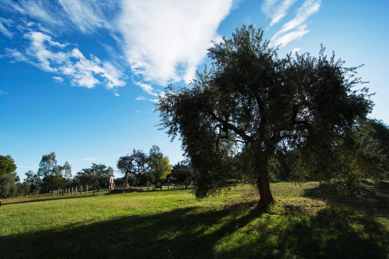 Tenuta Col Di Sasso 斯卡尔利诺 外观 照片